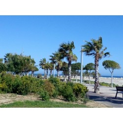 Parcela en venta, vistas mar, Cambrils